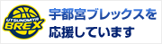 宇都宮ブレックスを応援しています